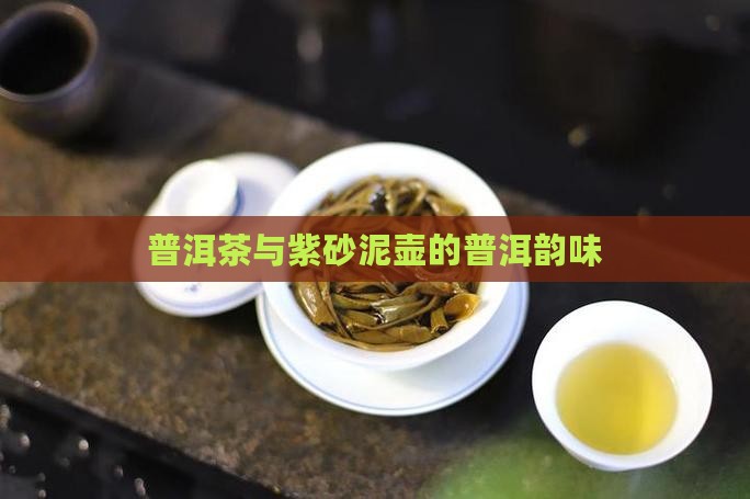普洱茶泡养泥壶