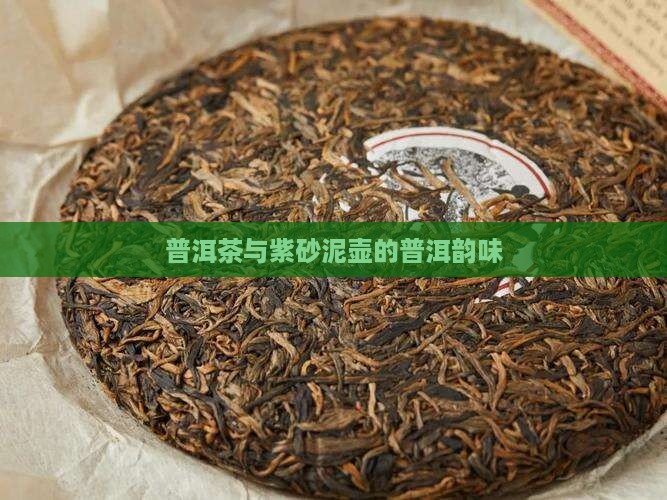 普洱茶泡养泥壶