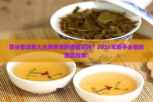 景谷普洱茶大白黄芽