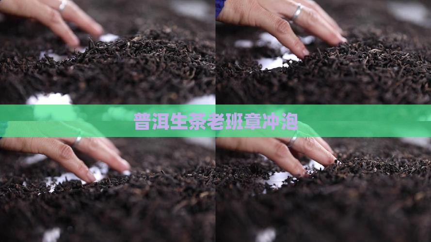 普洱生茶老班章冲泡