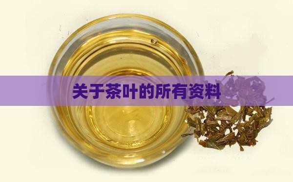关于茶叶的所有资料