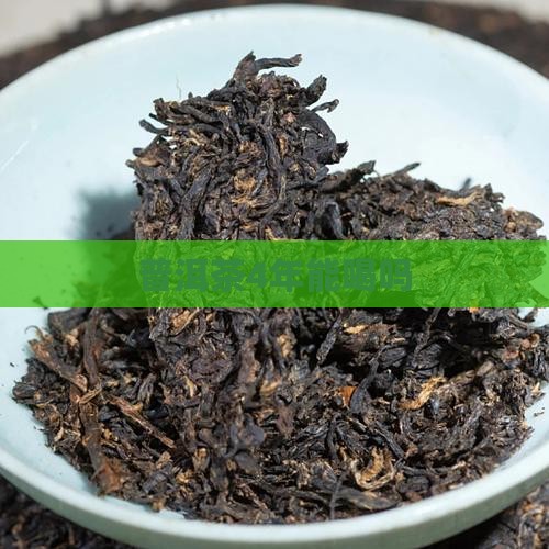 普洱茶4年能喝吗