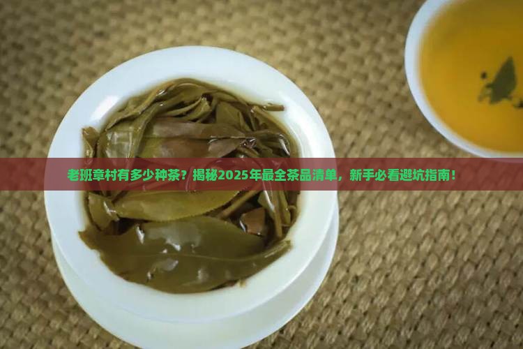 老班章村有多少种茶