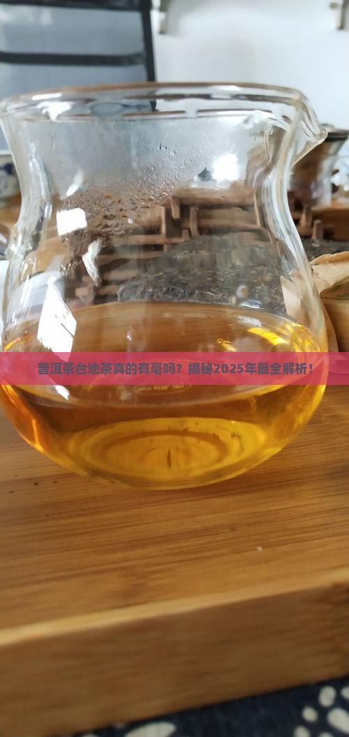 普洱茶台地茶叶背有毫吗