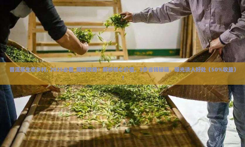 普洱茶生态乡村