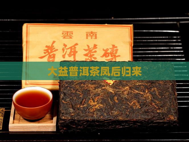 大益普洱茶凤后归来