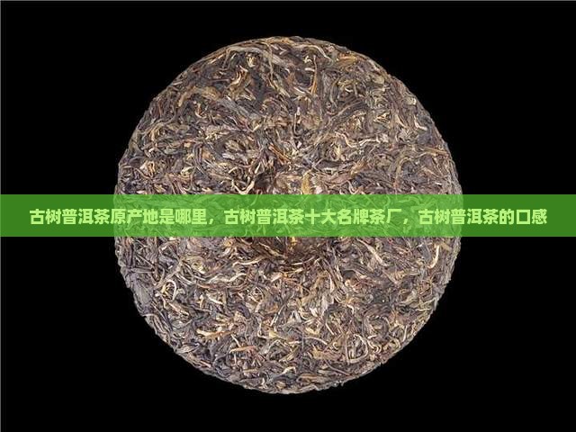 古树普洱茶原产地