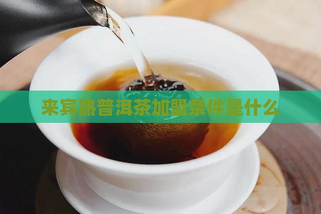 来宾熟普洱茶加盟条件是什么