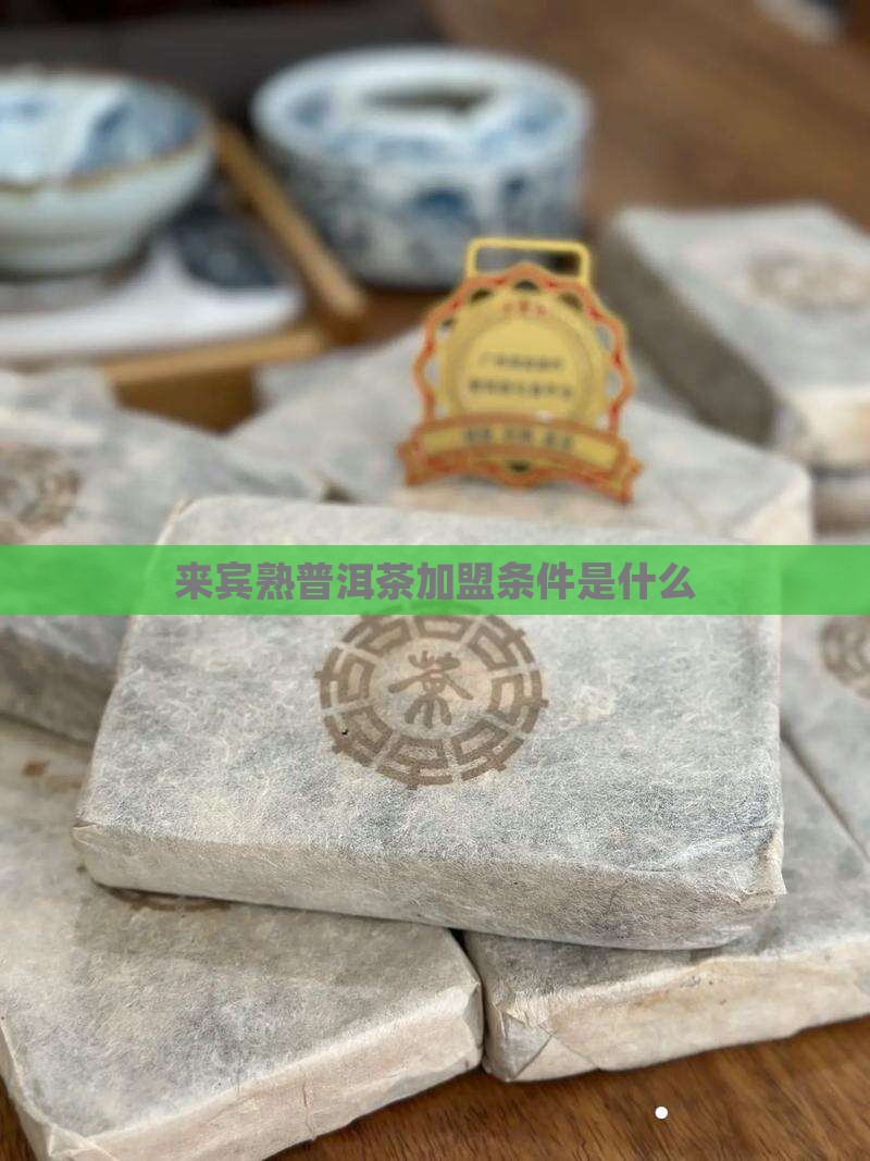 来宾熟普洱茶加盟条件是什么