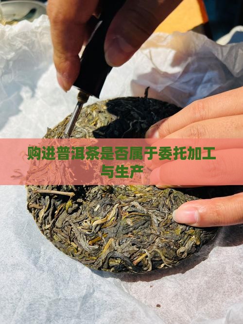 购进普洱茶属于委托加工吗