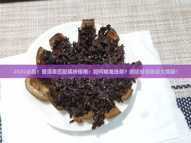 匹配普洱茶是什么意思