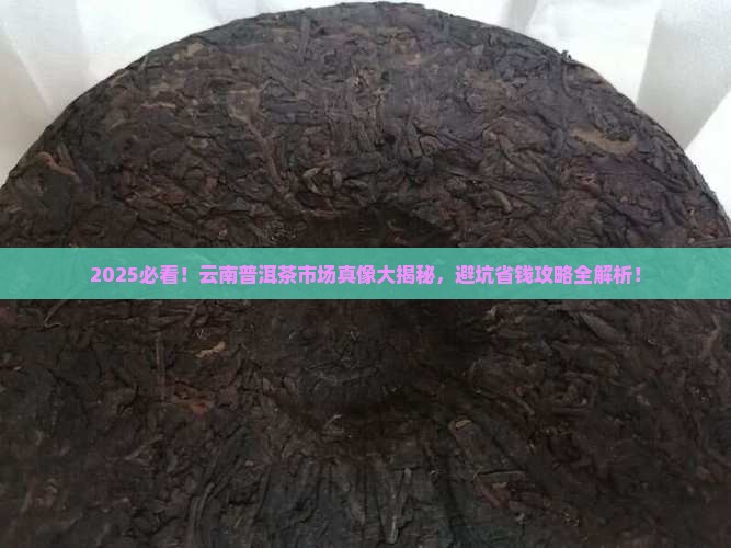 今年云南普洱茶的市场情况