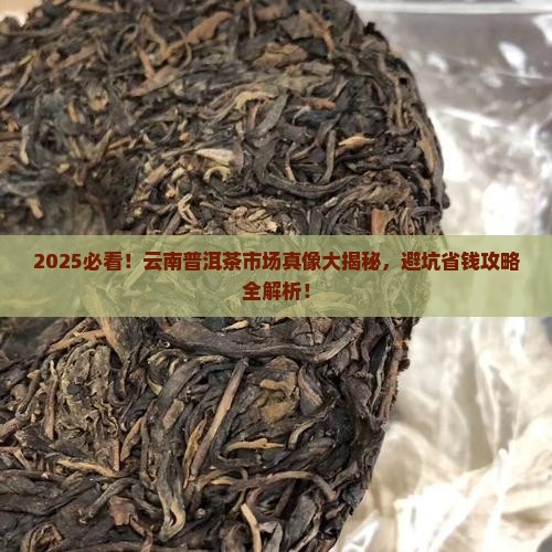 今年云南普洱茶的市场情况