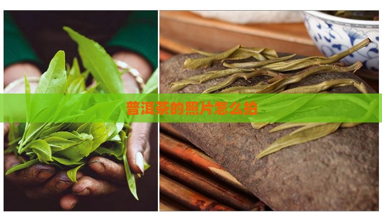 普洱茶的照片怎么拍