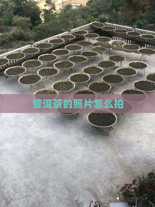 普洱茶的照片怎么拍