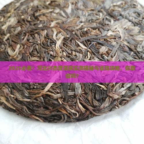 河北兴杰普洱茶怎样