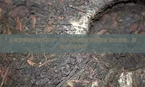 云南普洱茶高品质有哪些