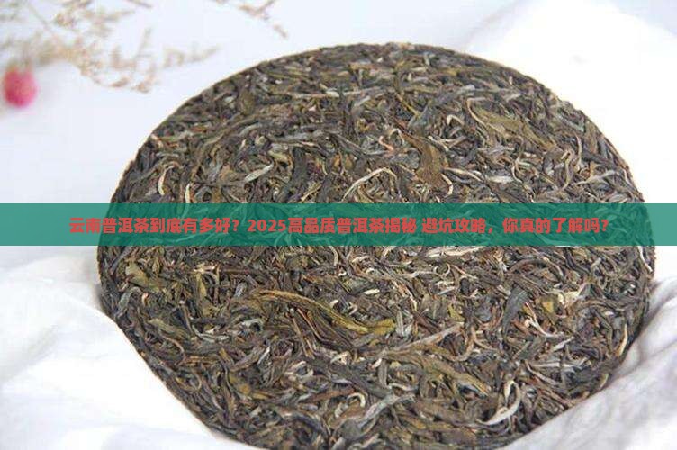 云南普洱茶高品质有哪些