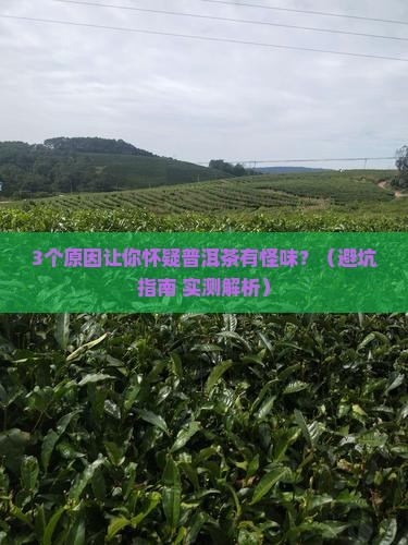 普洱茶有怪味能喝吗