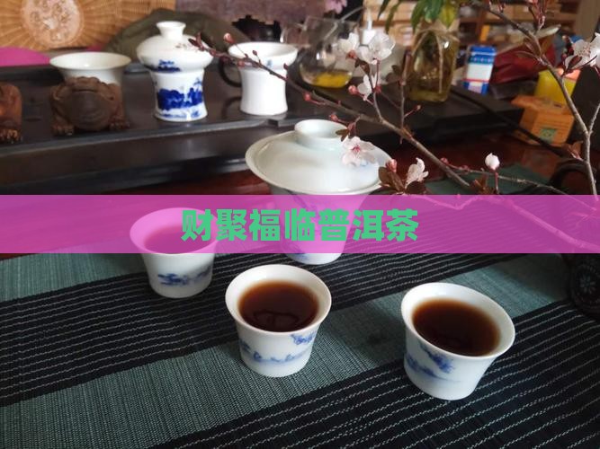 财聚福临普洱茶