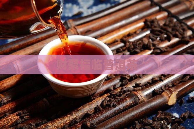 财聚福临普洱茶