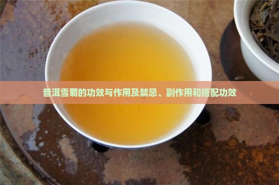 普洱雪菊的功效与作用