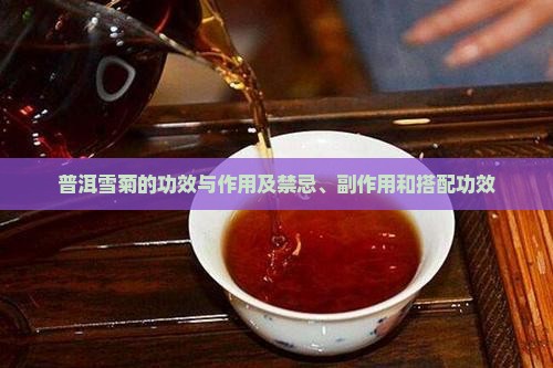 普洱雪菊的功效与作用