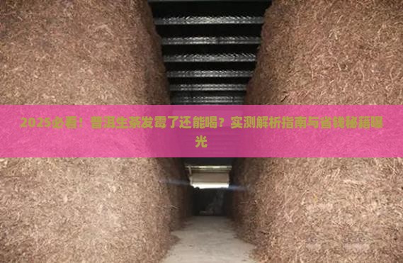 普洱茶生茶有点发霉可以喝吗
