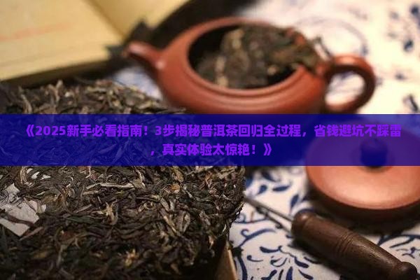 普洱茶回归全过程