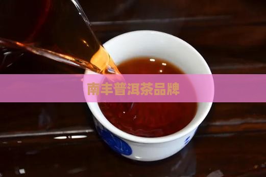 南丰普洱茶品牌