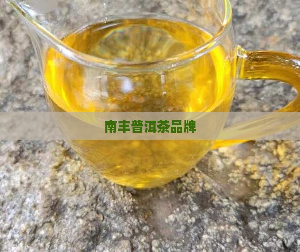 南丰普洱茶品牌