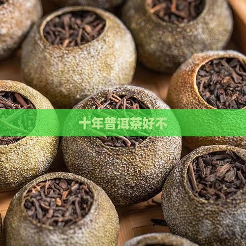 十年普洱茶好不