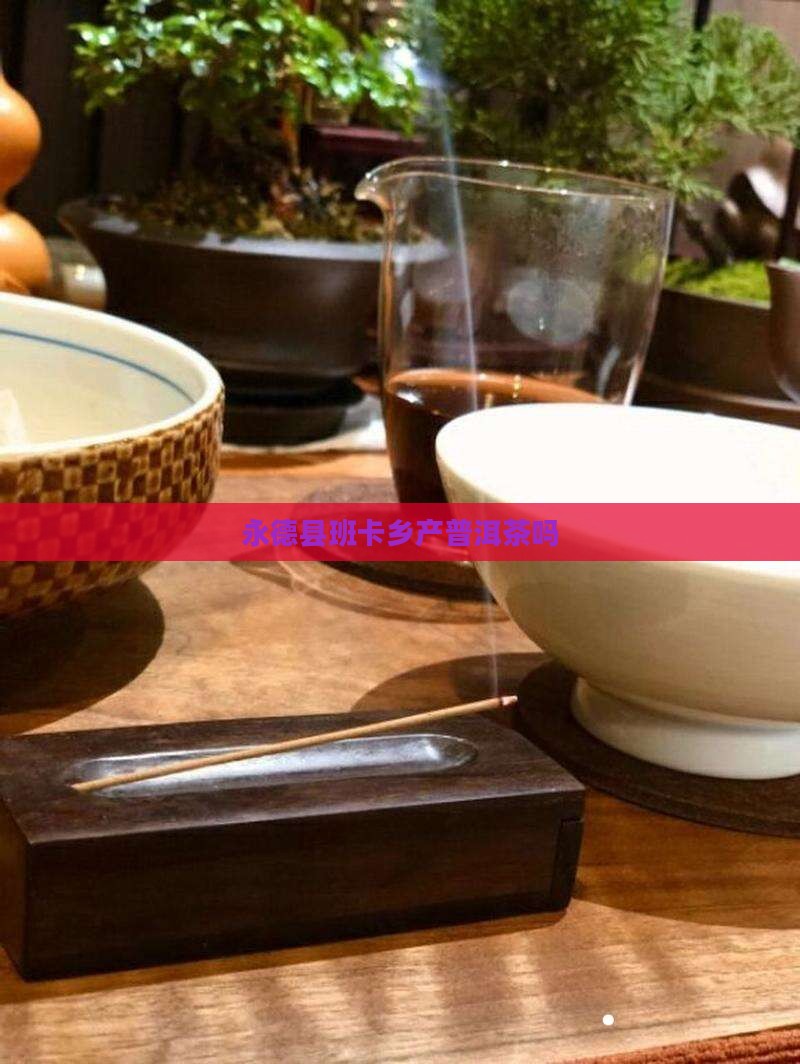 永德县班卡乡产普洱茶吗