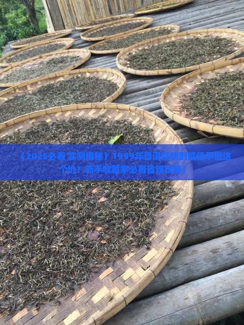 1999年的普洱茶饼