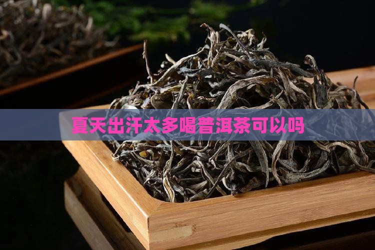 夏天出汗太多喝普洱茶可以吗