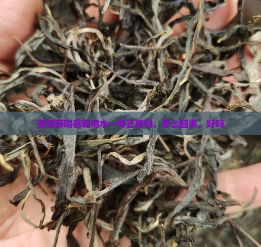 普洱茶喝着和清水一样