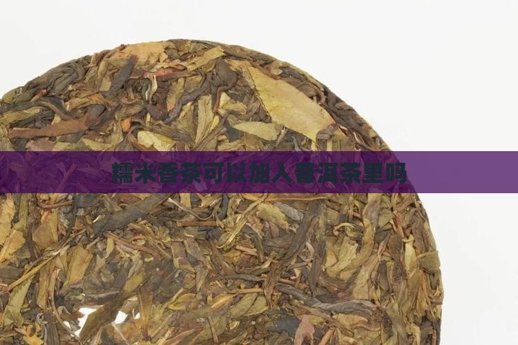 糯米香茶可以加入普洱茶里吗