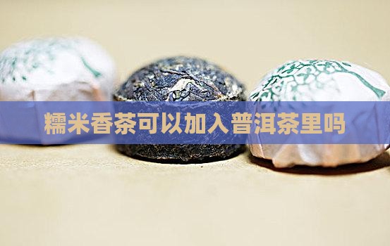糯米香茶可以加入普洱茶里吗