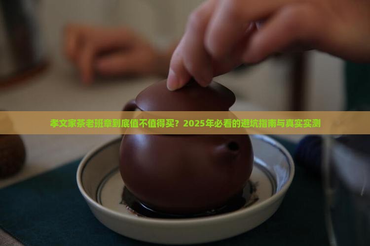 孝文家茶老班章