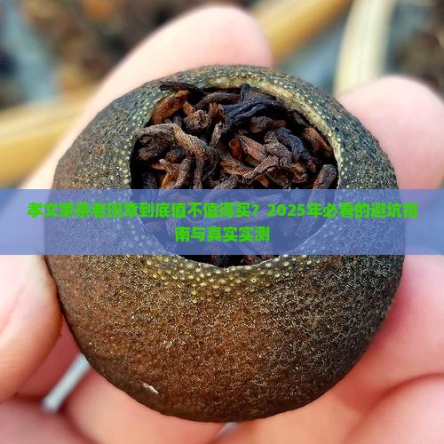 孝文家茶老班章