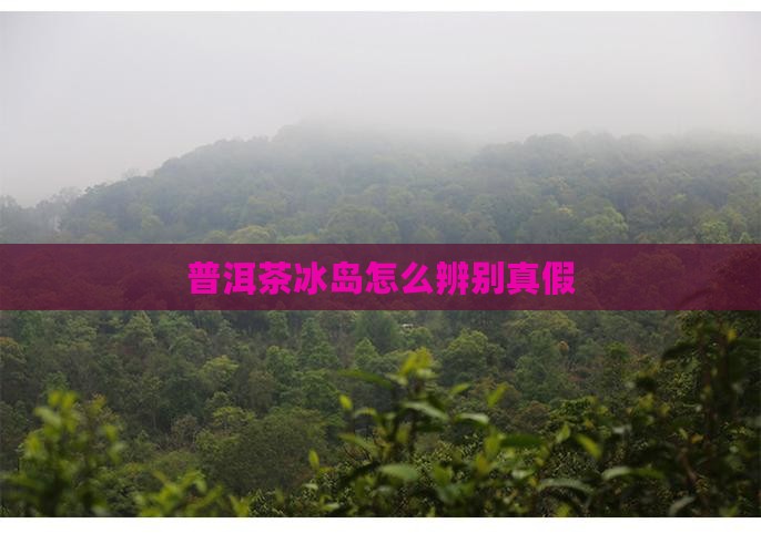 普洱茶冰岛怎么辨别真假
