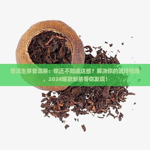 普洱生茶普洱茶