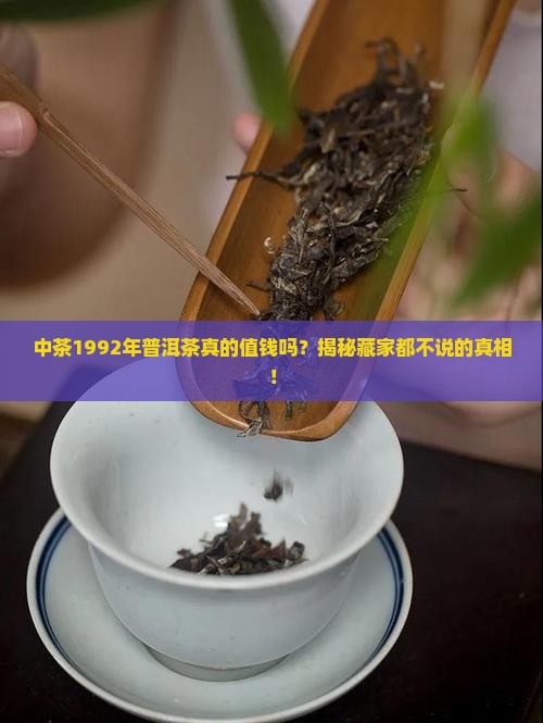 中茶1992年普洱茶