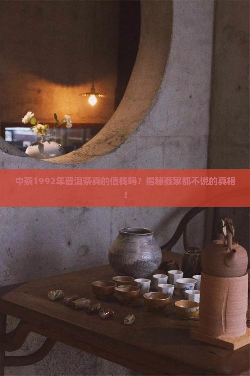 中茶1992年普洱茶