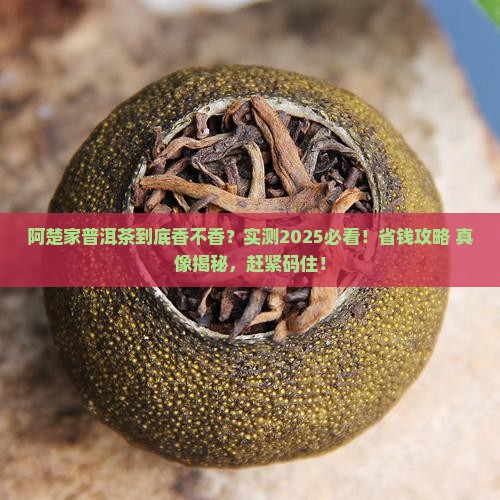 阿楚家的普洱茶好喝吗值得买吗