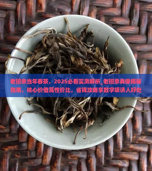 老班章当年春茶