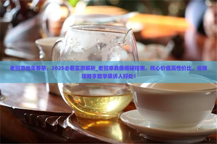 老班章当年春茶