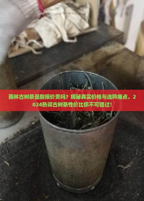 雨林古树茶曼捌报价