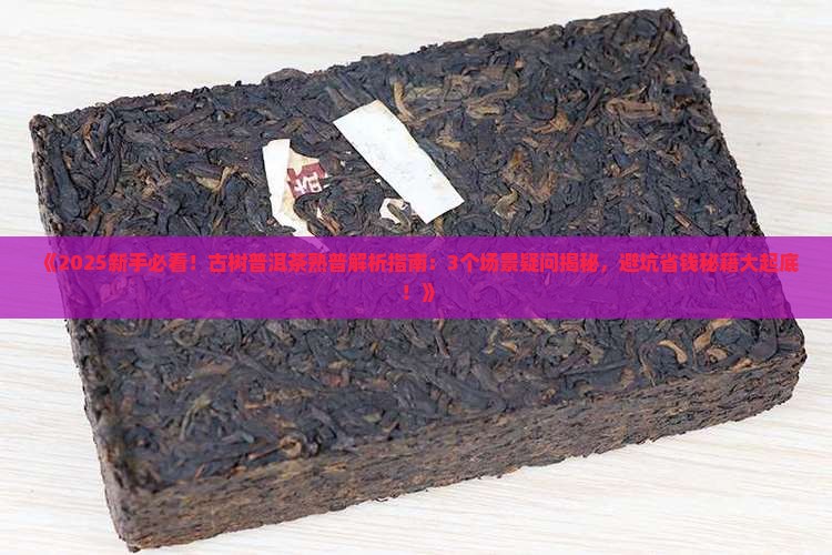 古树普洱茶熟普