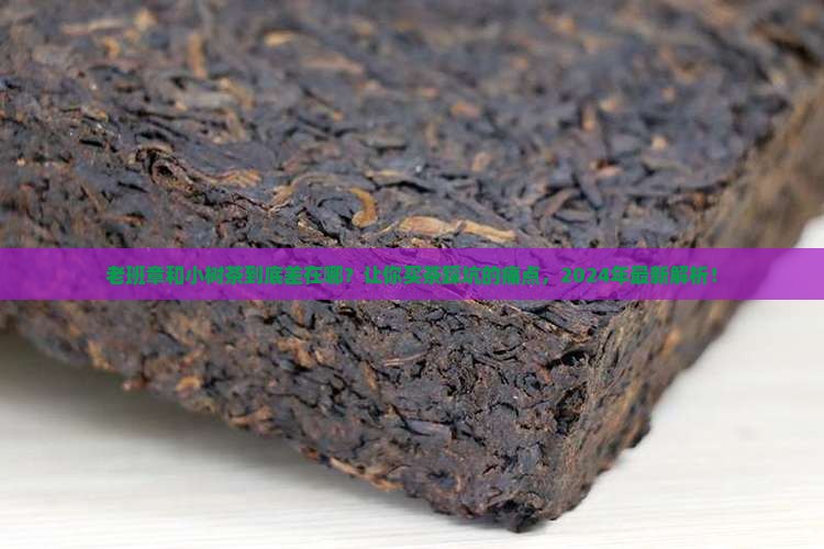 老班章与小树茶的区别